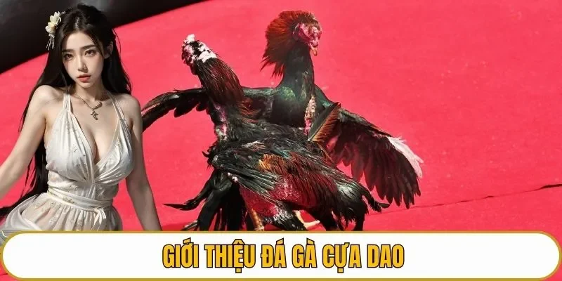 Giới thiệu đá gà cựa dao