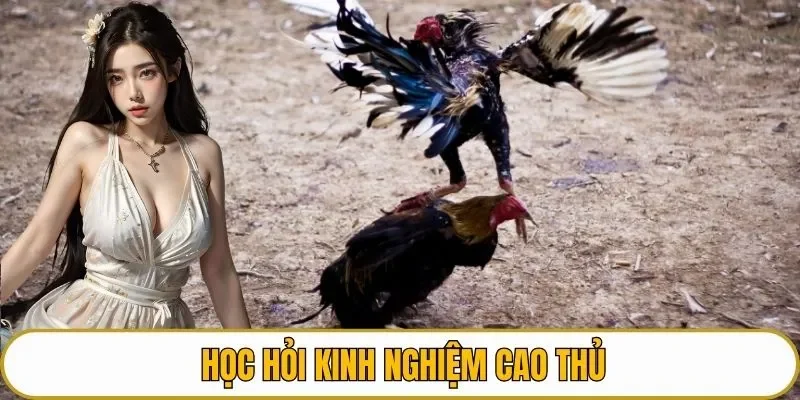 Học hỏi kinh nghiệm cao thủ